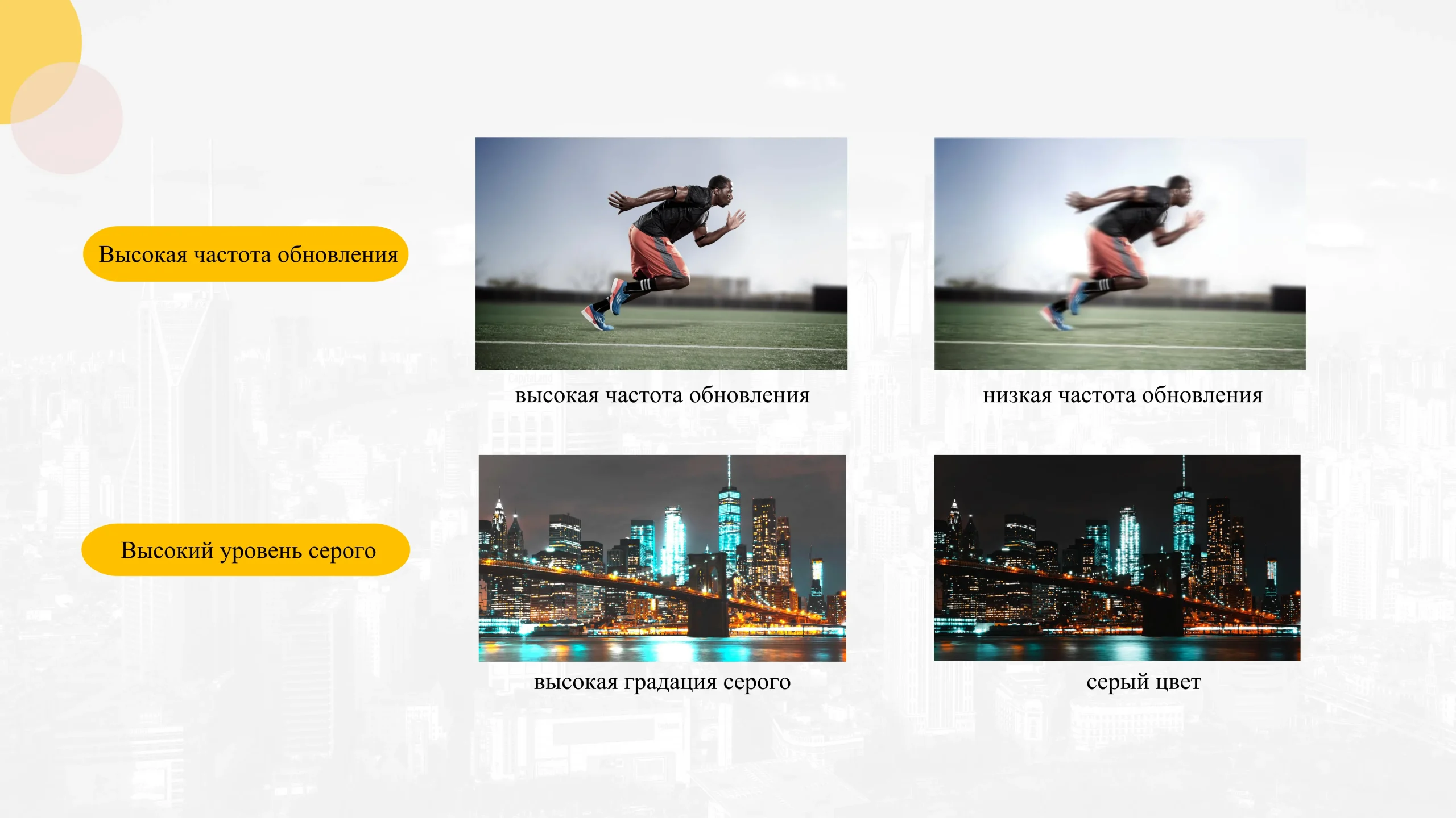 Двусторонний дисплей-cpxq (11)