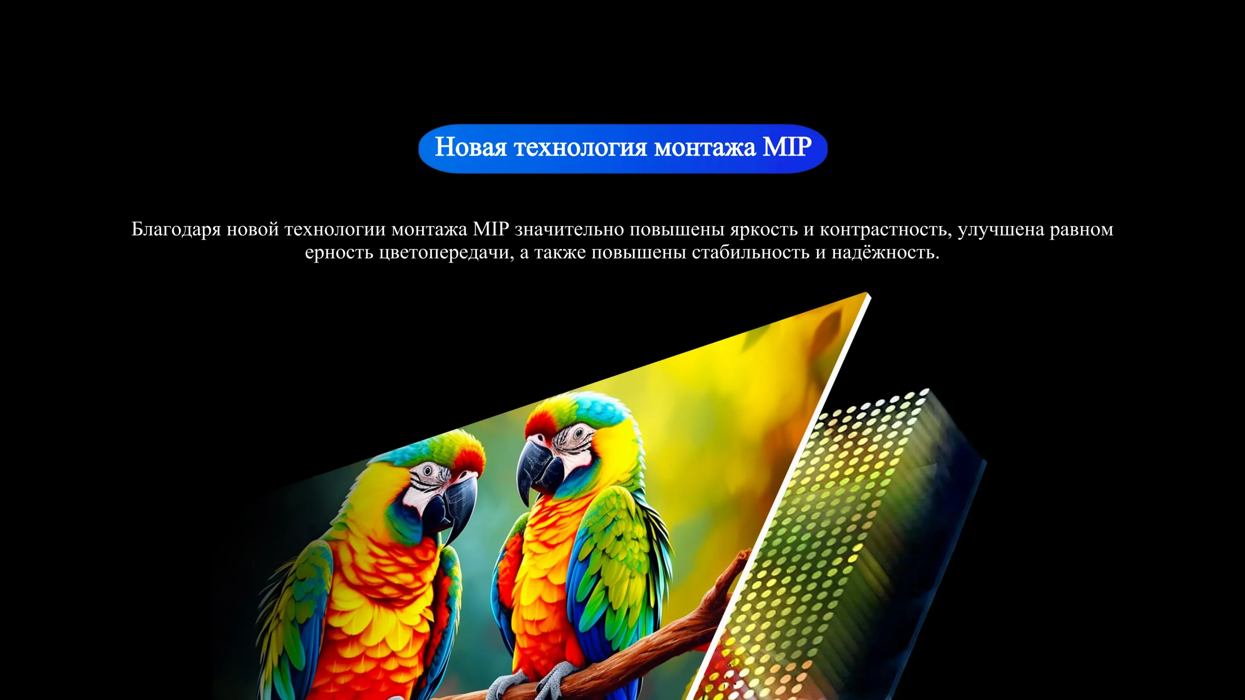 Уличная серия-cpxq (4)