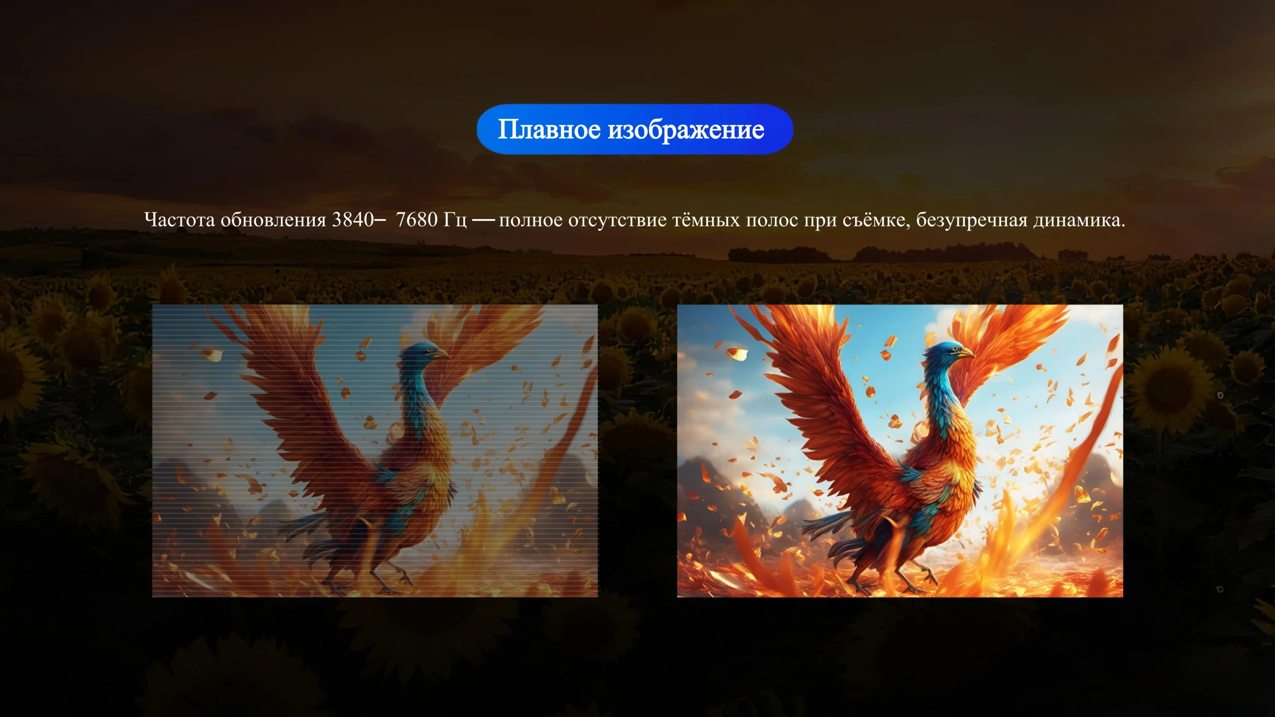 Уличная серия-cpxq (8)